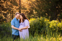 Jerry & Annie Engagement 2024