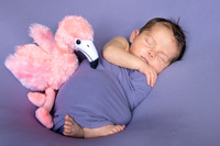 Maycee Reese 2025