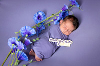 Maycee Reese 2025