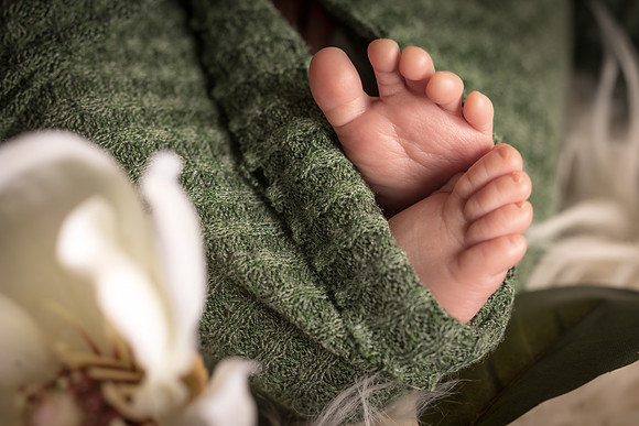 Andrea Jensen Photography Newborn