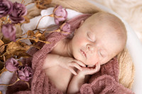 Freya Hayes 2025