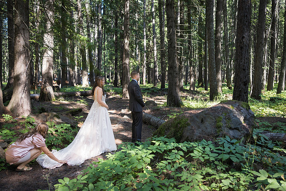 Wimpenny Wedding 2024