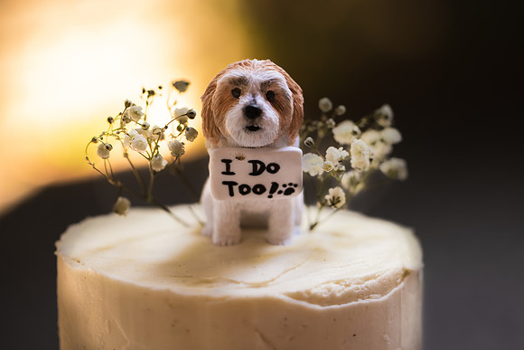 Wimpenny Wedding 2024