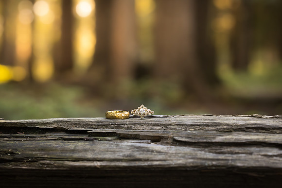 Wimpenny Wedding 2024