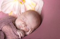 Freya Hayes 2025