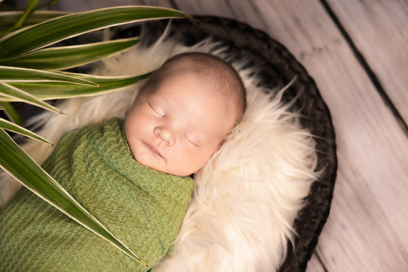 Andrea Jensen Photography Newborn