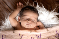 Maycee Reese 2025