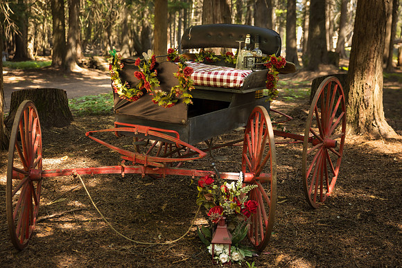 Wimpenny Wedding 2024